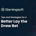 bet and lay strategies